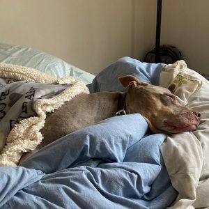 Meet your Posher, Katelyn